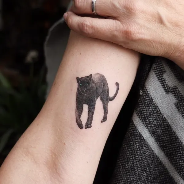 Animal