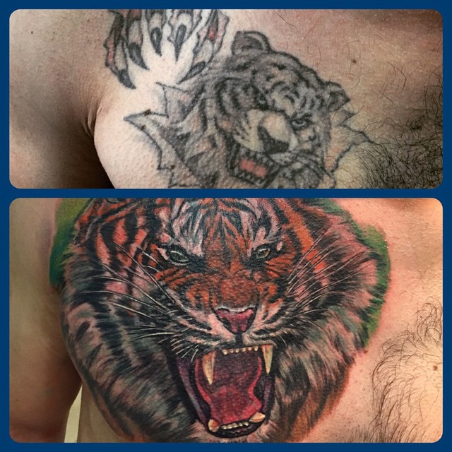 Tiger, Animal