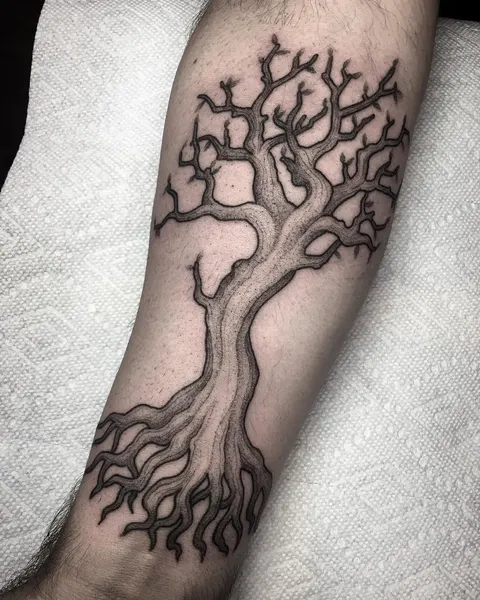 Nature, 뿌리, 나무, 소나무