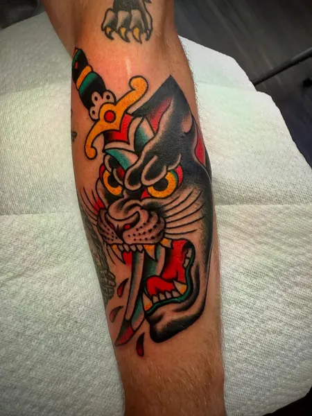 Tiger, Animal
