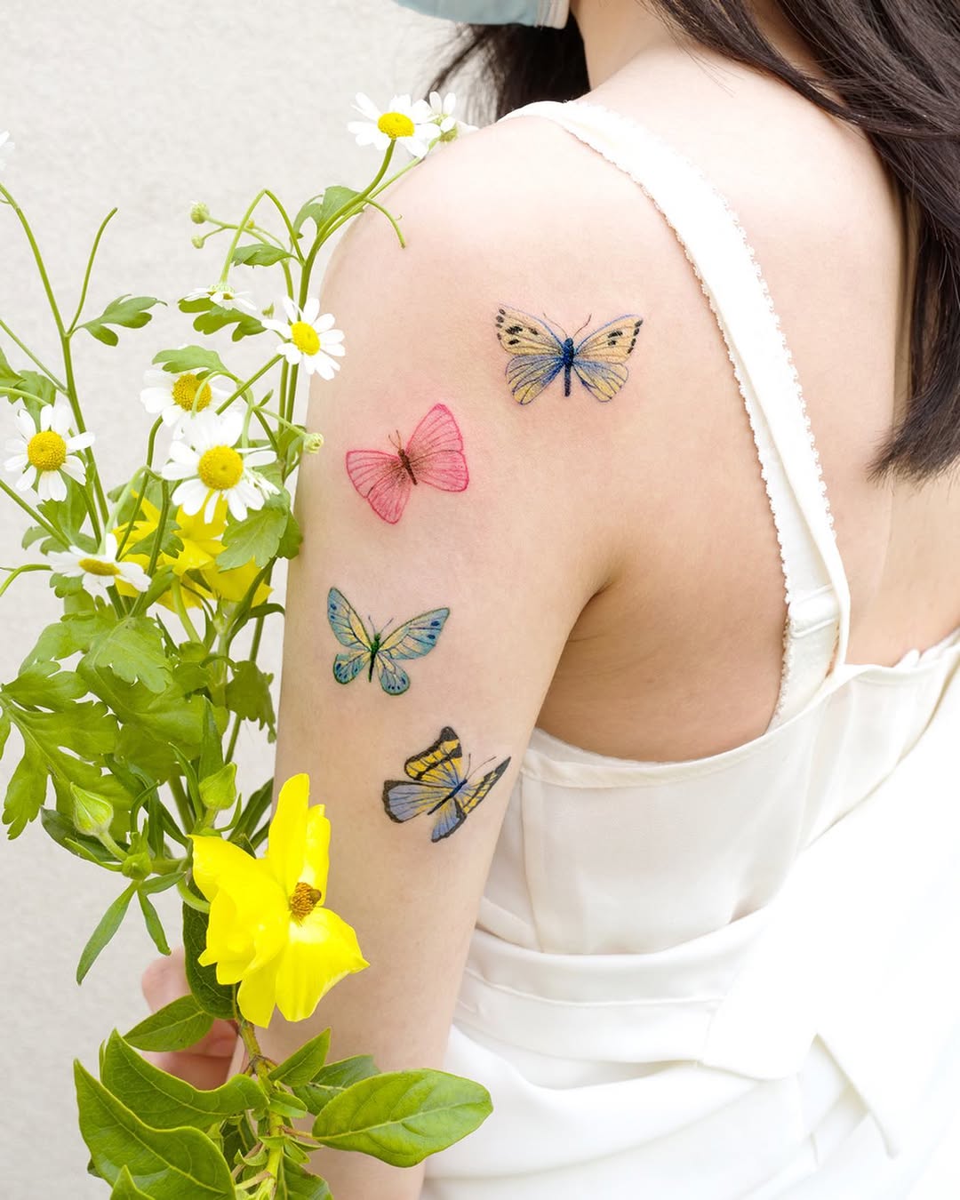 Animal, Nature, Flower