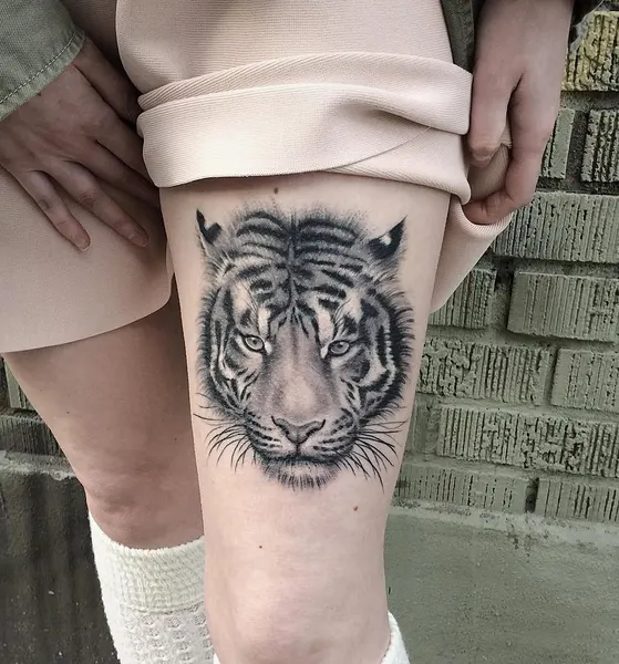 Tiger, 치타, 사자자리