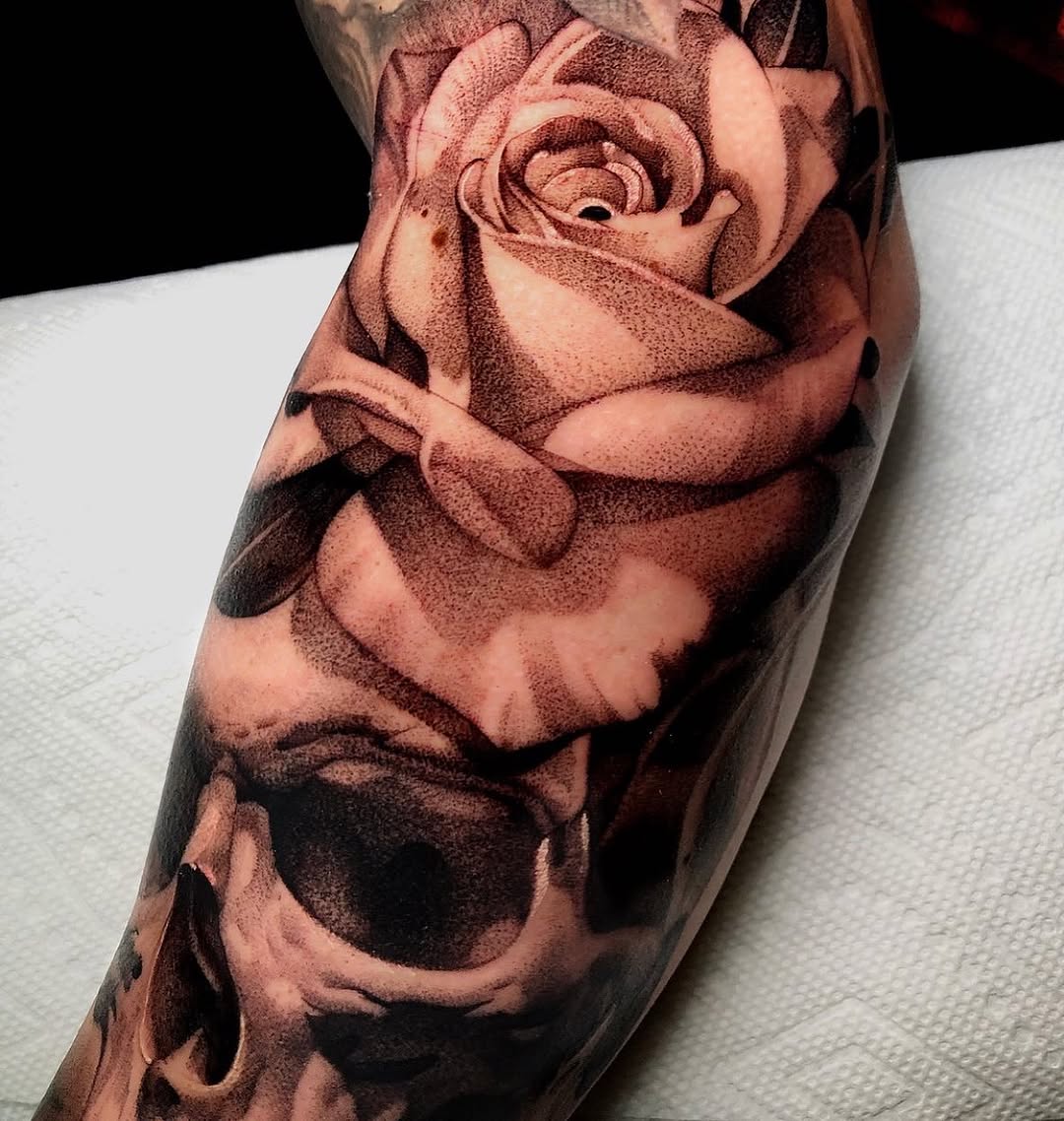 Flower, Rose