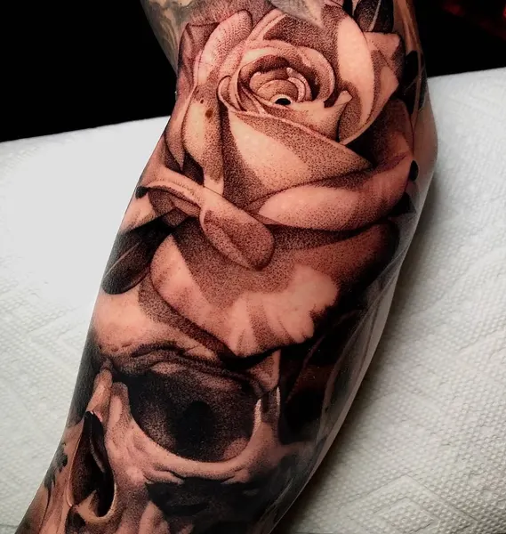 Flower, Rose