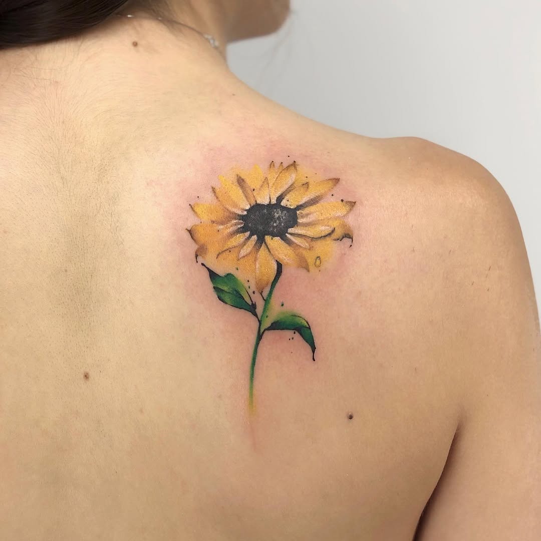 Flower, Nature