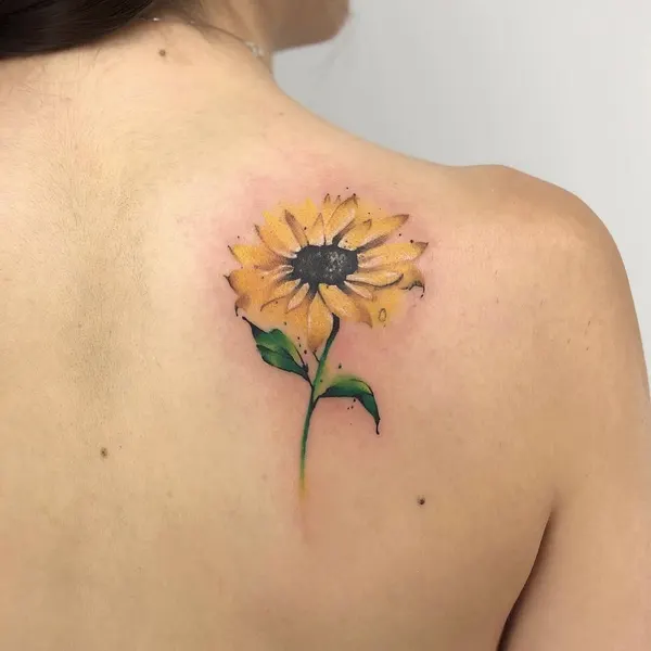 Flower, Nature