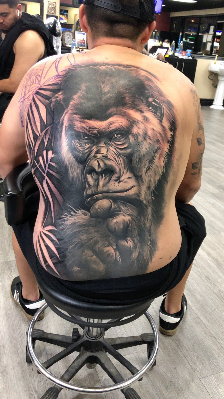 Tiger, Animal, 고릴라, 원숭이
