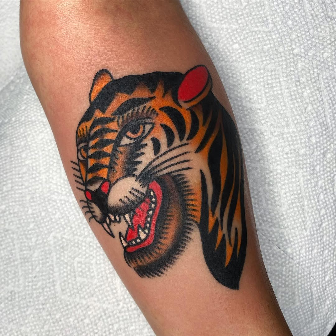 Tiger, Animal