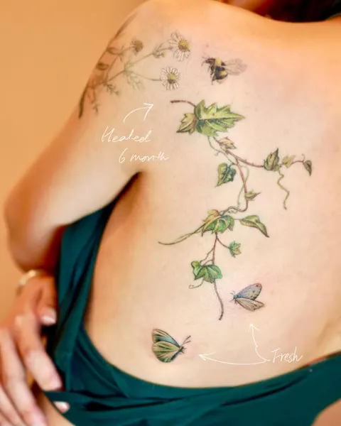 Flower, Nature, Rose