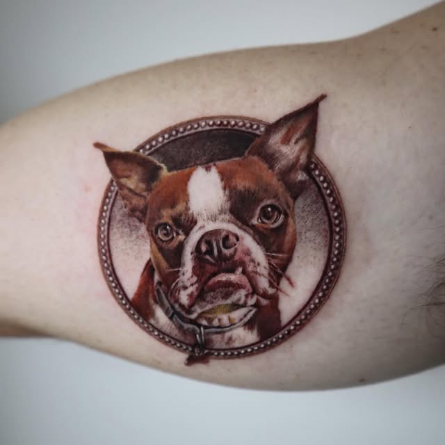 Animal