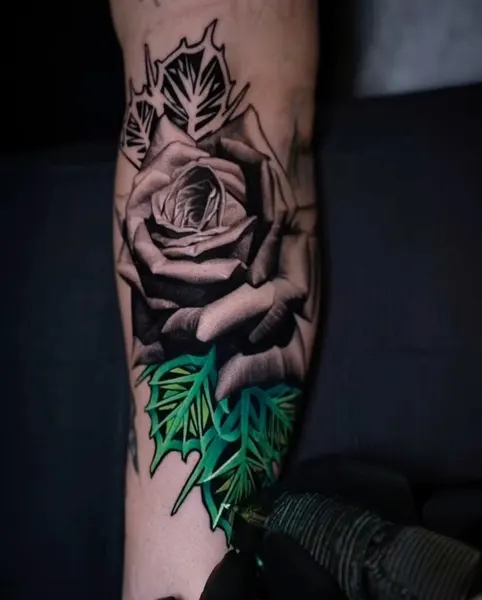 Flower, Rose