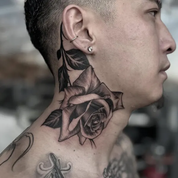 Flower, Rose