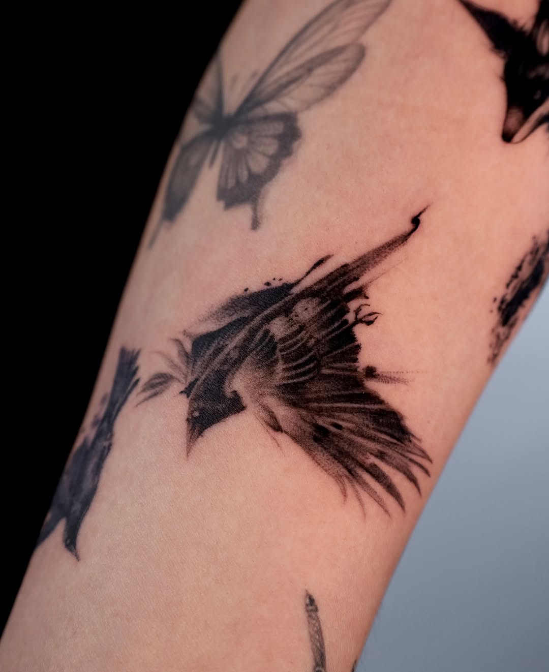 Dragon, Animal