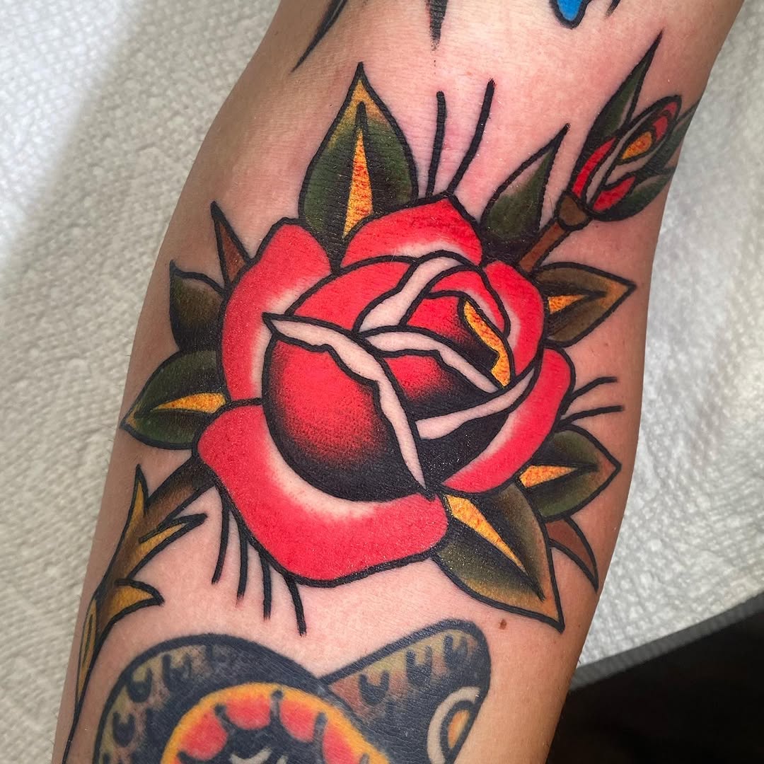 Flower, Rose