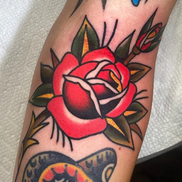 Flower, Rose