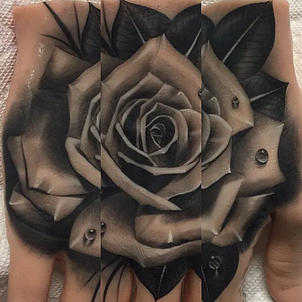 Flower, Rose
