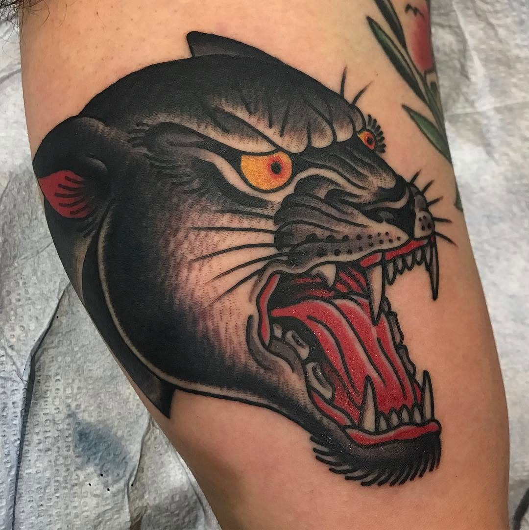Animal, Tiger