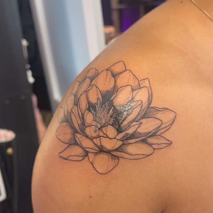 연꽃, 한국 연꽃, 연꽃 만다라, 탄생화, Flower