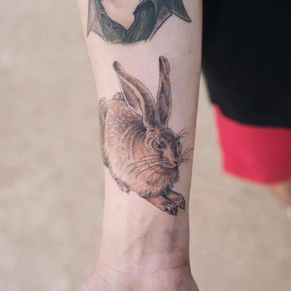 Animal, 토끼