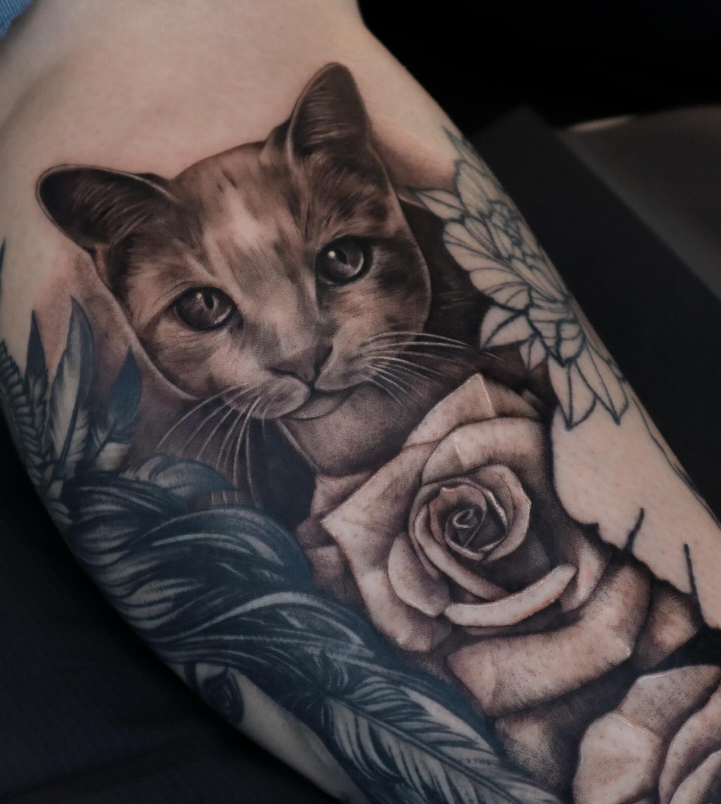 Animal