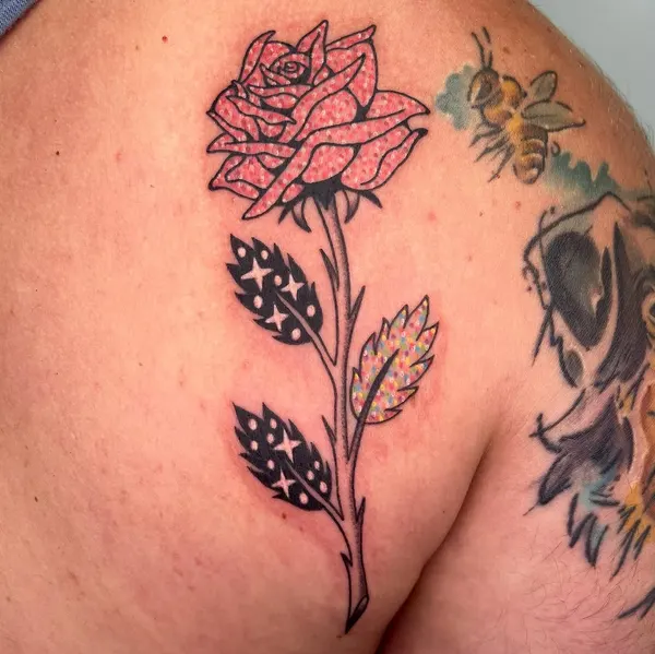 Flower, Rose, Nature