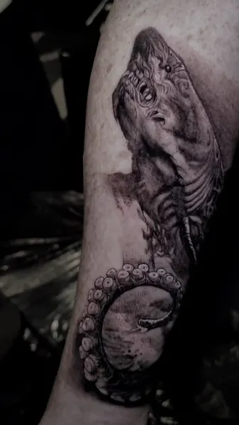 Animal