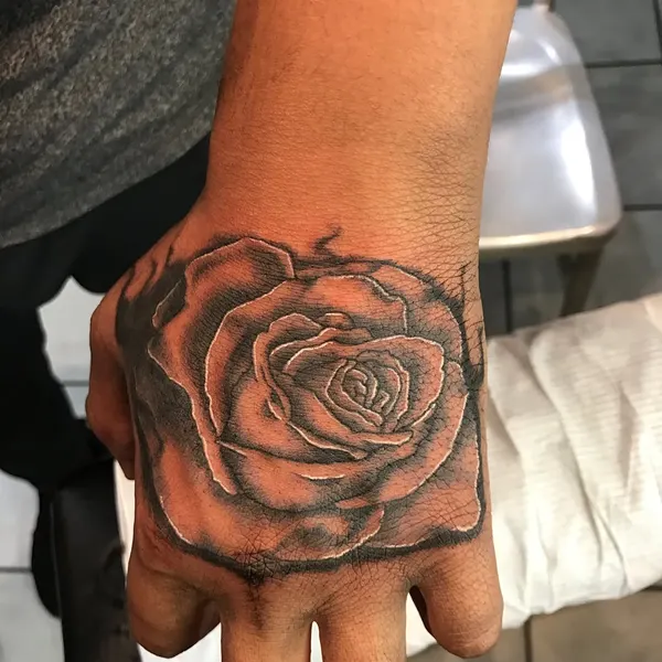 Flower, Rose