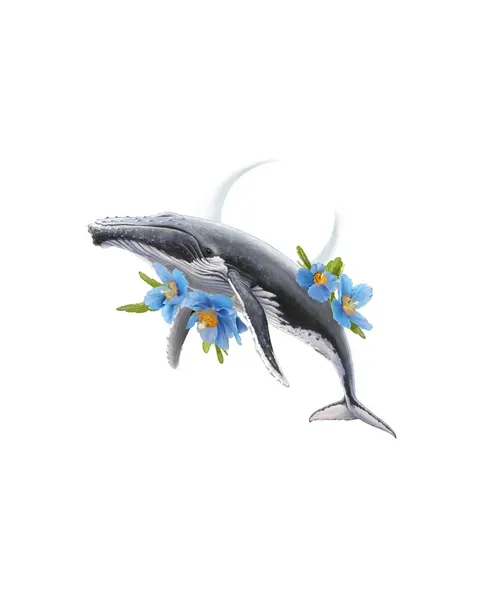 Nature, Animal