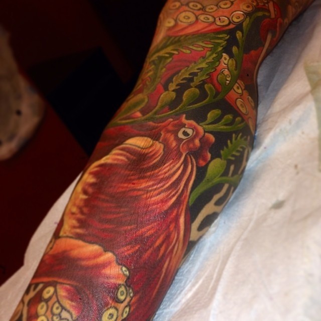 Animal, Dragon