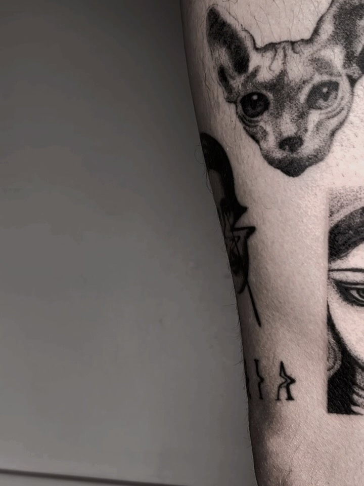 noia_________