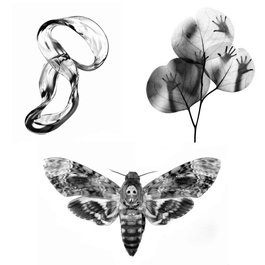 plantsnpokes