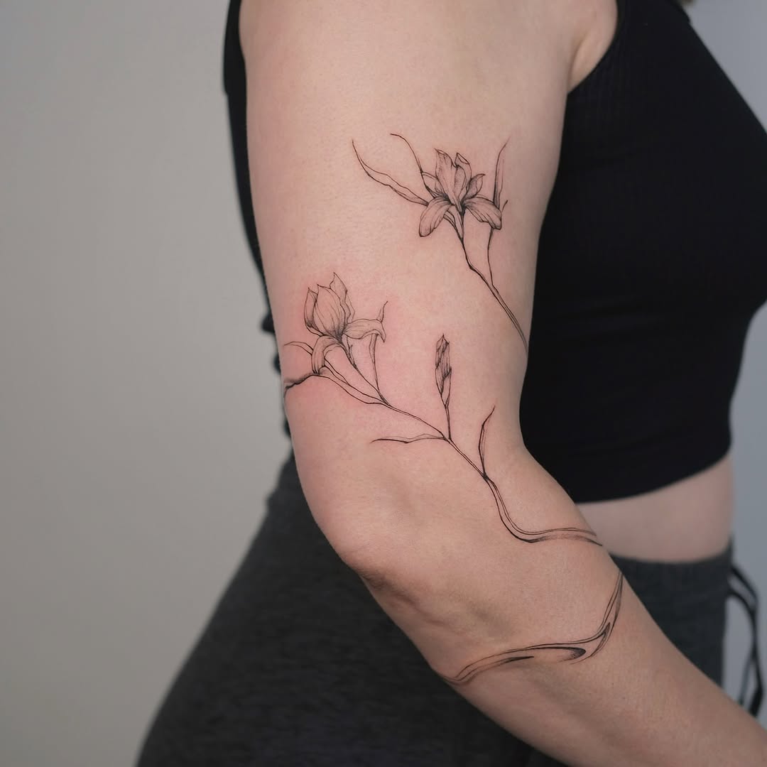 Flower, Rose