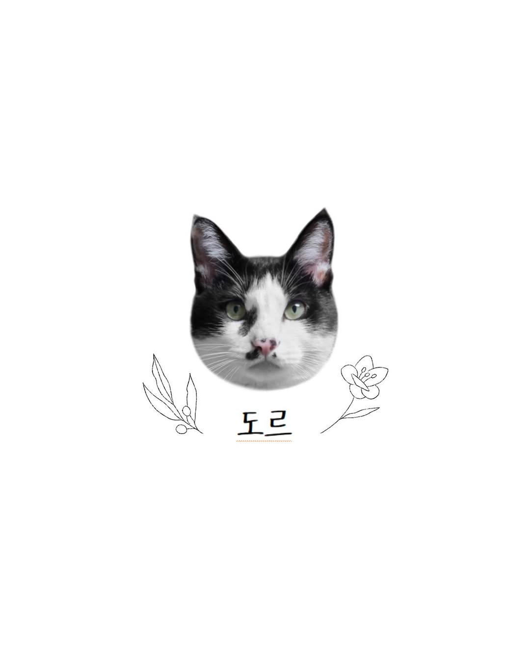 dorok.tattoo
