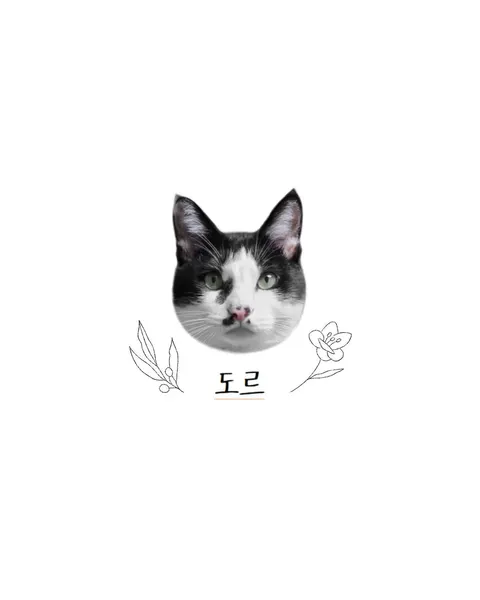 dorok.tattoo