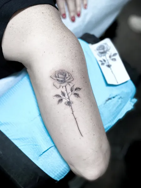 Lettering, 숫자, 날짜, 좌표, 생년월일, 로마 숫자, 출생년도