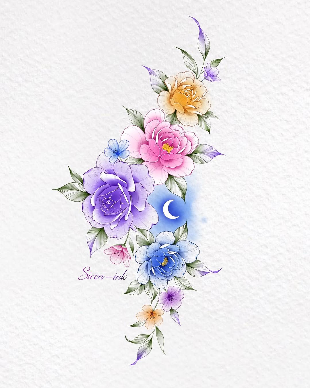 Flower, Nature, Rose