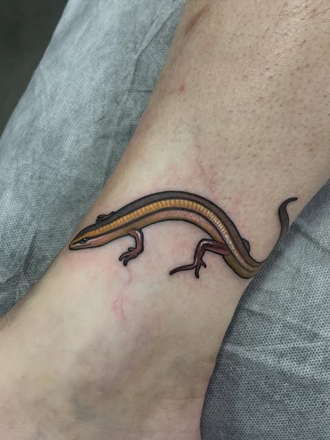Dragon, 도마뱀