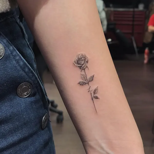 Flower, Rose