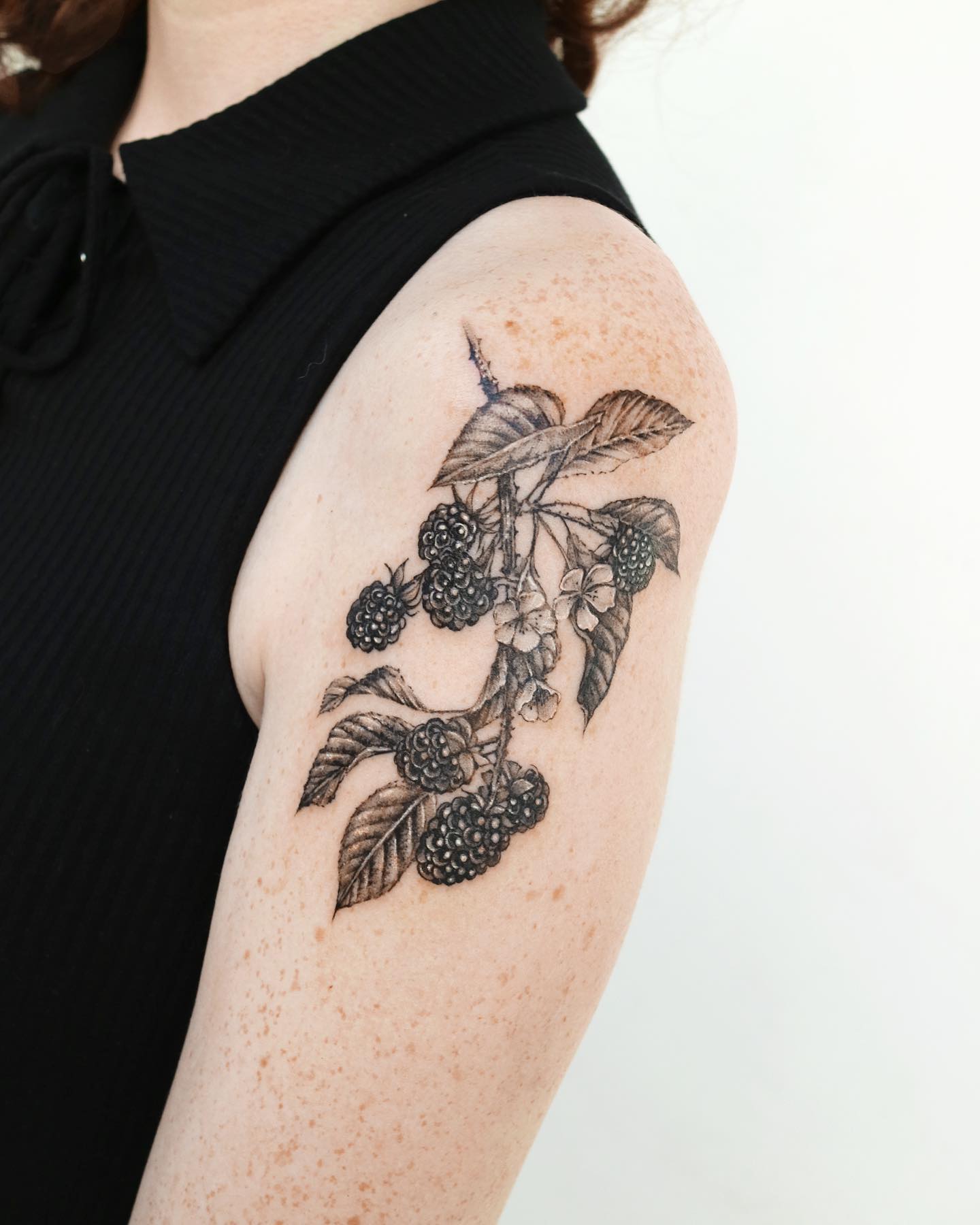 Flower, Rose, Nature