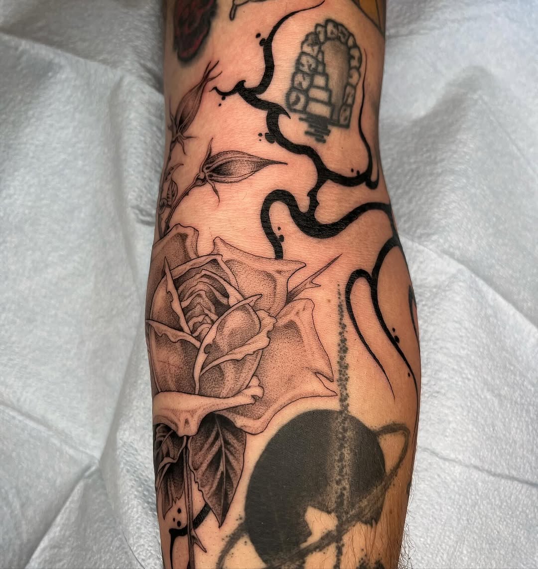 Flower, Rose
