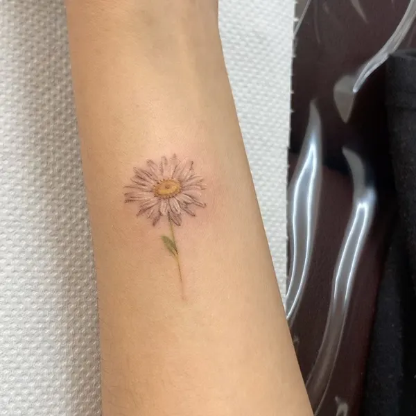 멘디, Flower, 국화, 데이지, 민들레, 야생화, 해바라기