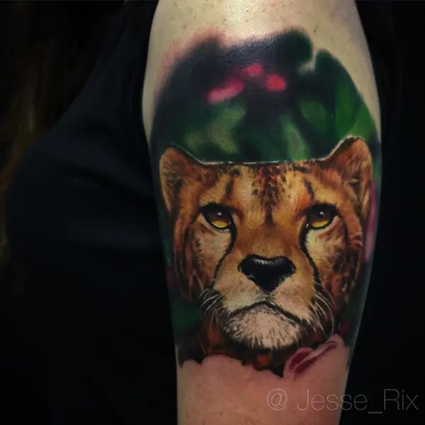 Animal