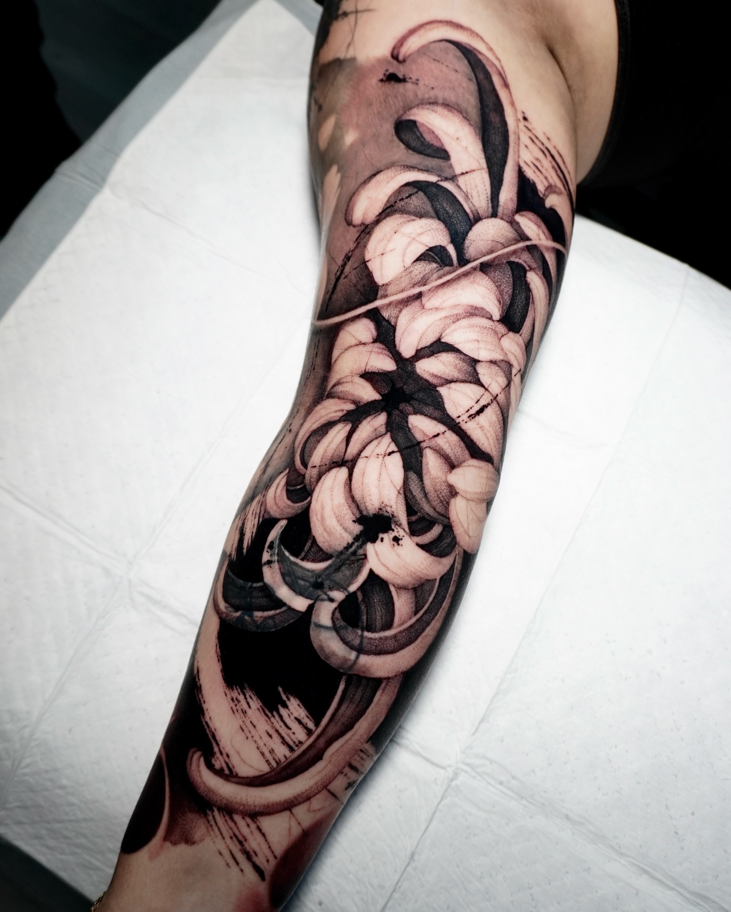 stefano_tavaglione