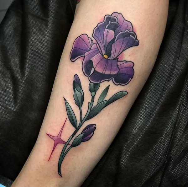 Flower, Rose, 아이리스, 난초