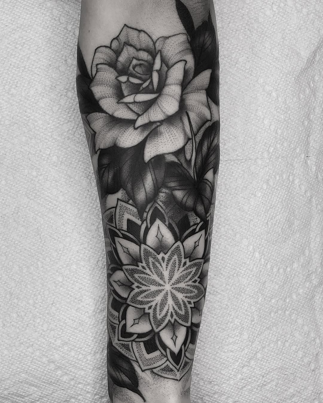 Flower, Rose