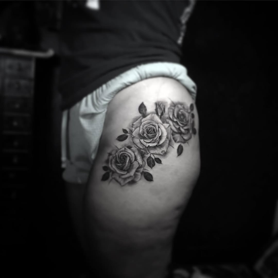 Flower, Rose, Nature
