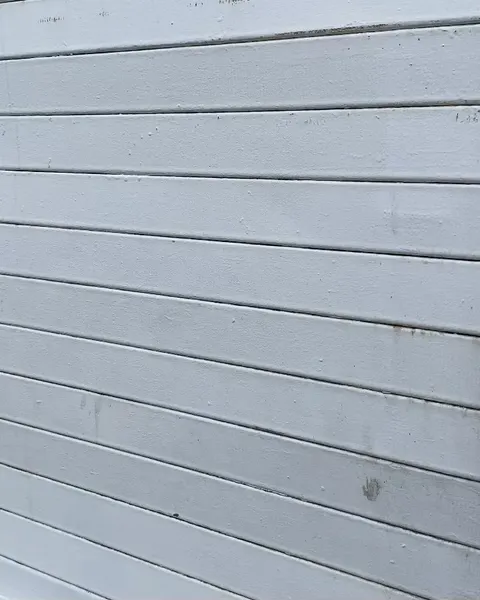 hongzo_tt
