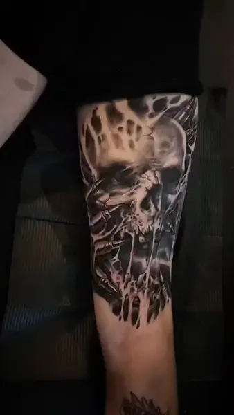 toxycxlr