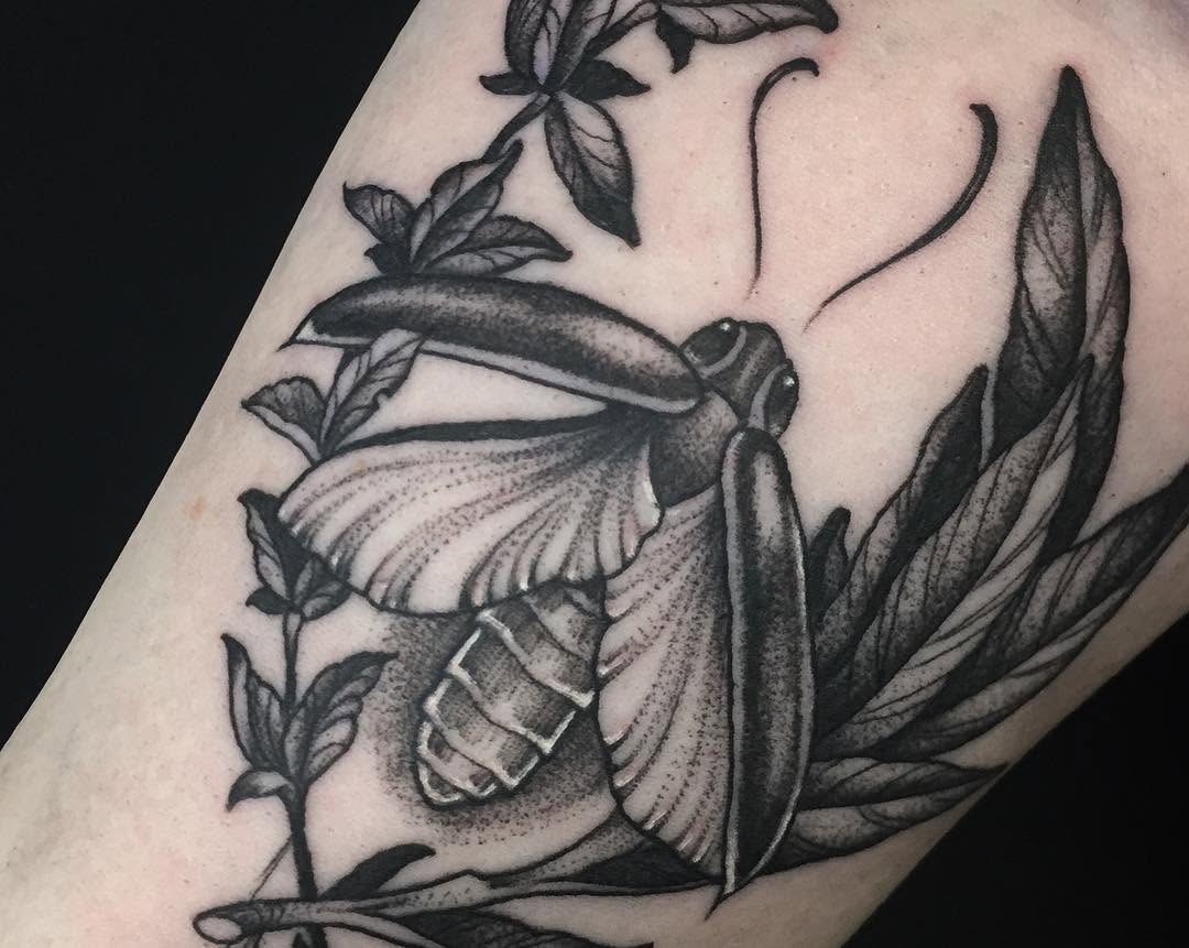 vitrioltattoo