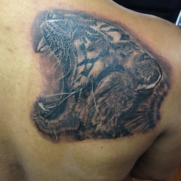 Tiger